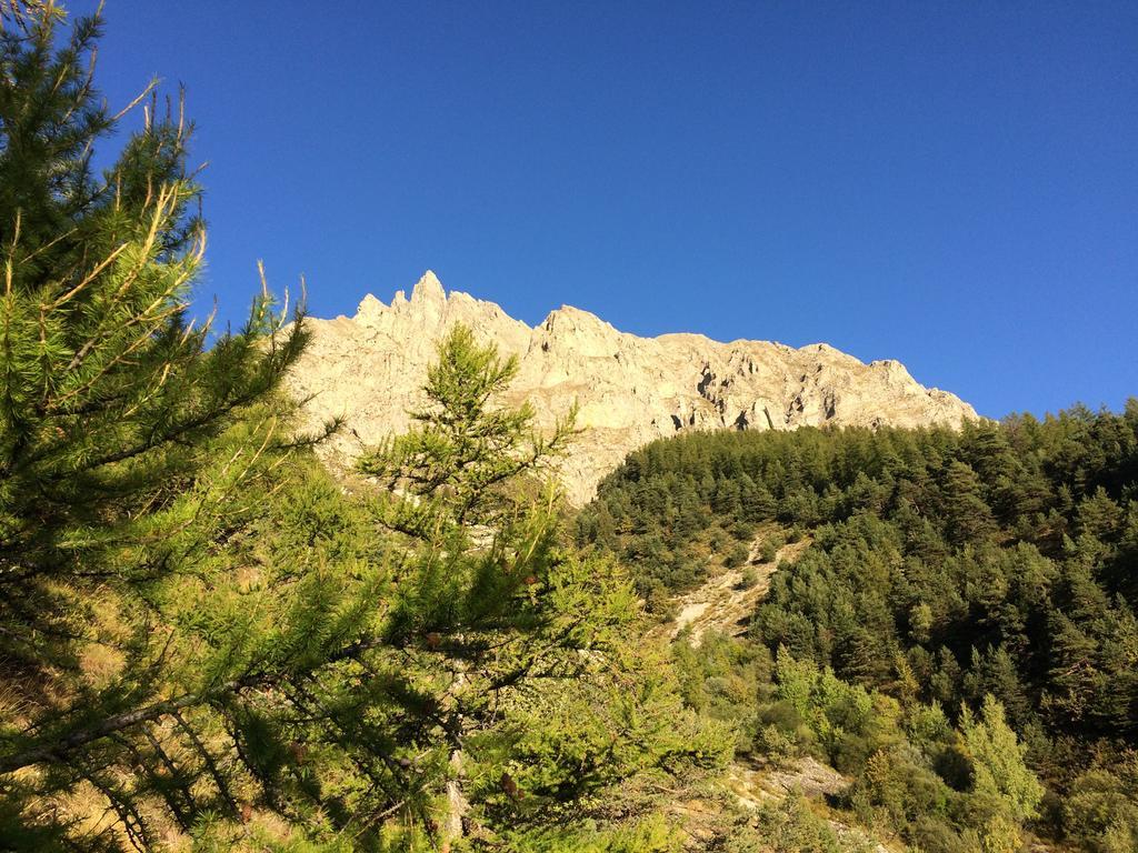 Gite Le Pelens Saint-Martin-dʼEntraunes Dış mekan fotoğraf